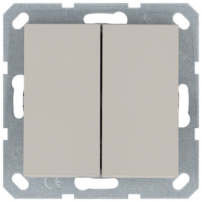 Выключатель двухклавишный проходной Jasmart 10A 250V с накладкой G3022T