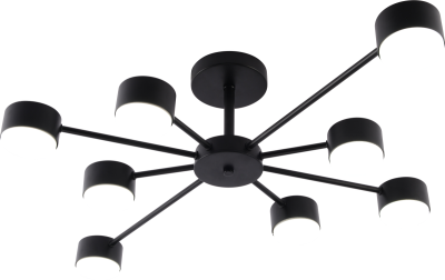 Люстра на штанге Rivoli Lesley 3185-308 Б0070178