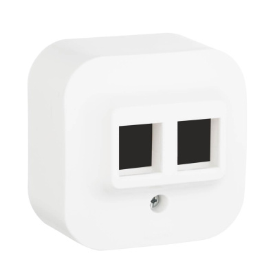 Адаптер для розетки 2хRJ45 Legrand Quteo Keystone белый 782226