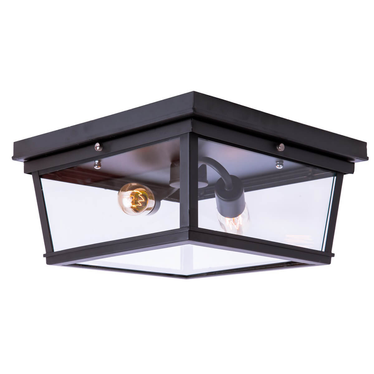 Потолочный светильник LOFT IT Modern filament Loft3110-2C
