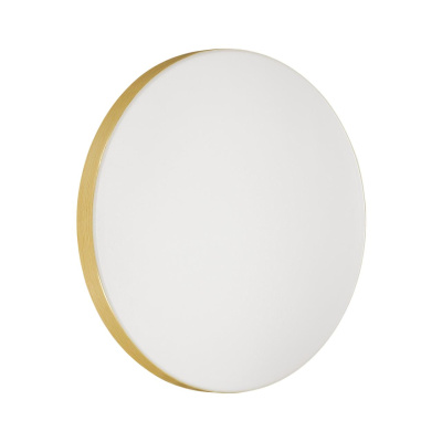 Настенно-потолочный светильник Sonex Smalli 3066/CL