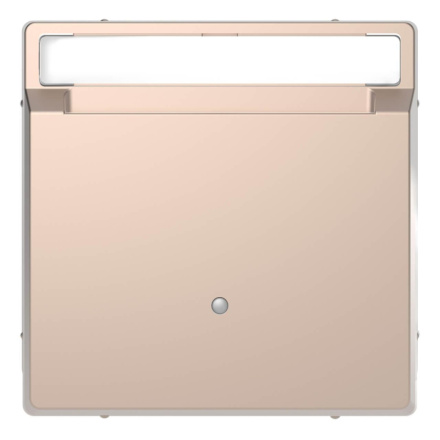 Выключатель карточный Schneider Electric Merten D-Life MTN3854-6051