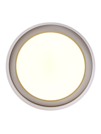 Потолочный светильник Zortes Adel ZRS.1200.01