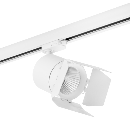 Трековый светильник Lightstar Canno LED (301562+202996) C156296