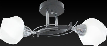 Потолочный светильник Toplight Lia TL7380X-02BC