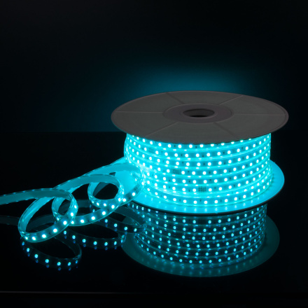 Светодиодная лента Elektrostandard 220V 11W 60Led 5050 IP65 мульти, 50 м 4690389170942