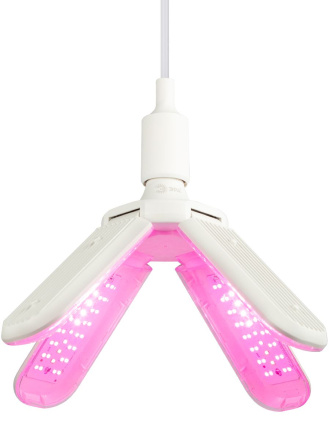 Фитолампа для растений красно-синего спектра Эра ФИТО-40W-PL-E27-GR Б0064525