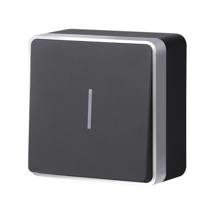 Выключатель одноклавишный с подсветкой Werkel Gallant (черный с серебром) W5010134 4690389163838 a051152