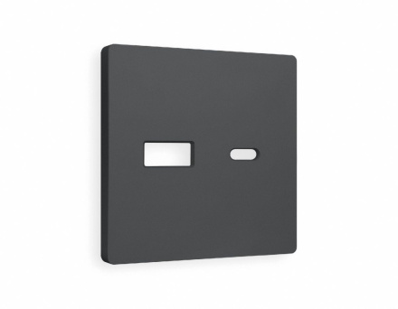 Лицевая панель для розетки 2USB тип A+C Ambrella Volt Alfa AP9110