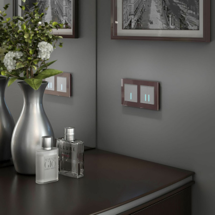 Сенсорный выключатель двухклавишный с подсветкой Werkel 4690389179563 W4520006