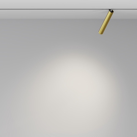 Трековый магнитный светильник Maytoni Focus T TR141-2-6W4K-M-BS