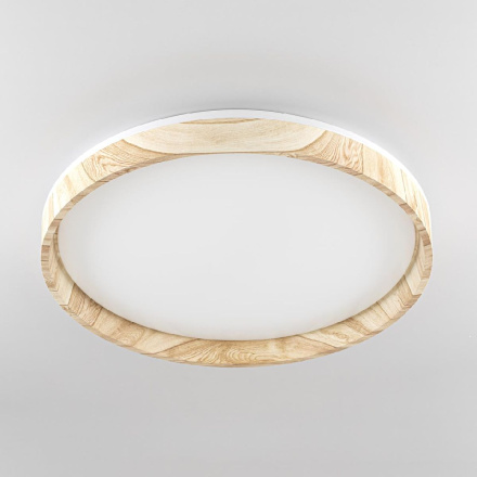 Потолочный светильник Citilux Enzo CL753452G