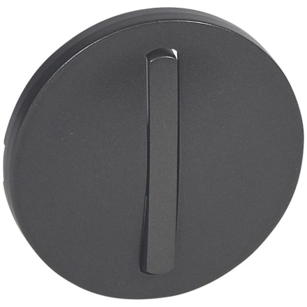 Лицевая панель Legrand Celiane выключателя одноклавишного графит 065201