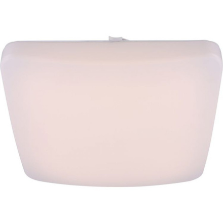 Потолочный светильник Globo Danylo 41654