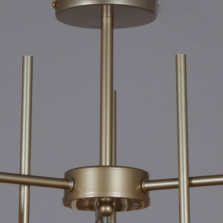 Люстра на штанге Reluce 01508-0.3-03 PG