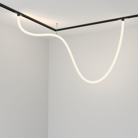 Трековый магнитный светильник Maytoni Tau TR101-2-50W4K-B