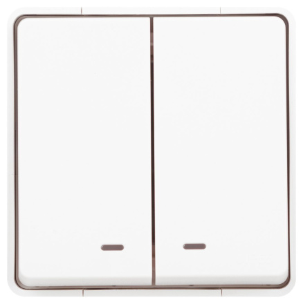 Выключатель двойной с подсветкой Эра Elegance Эксперт 11-1505-01 Б0063282