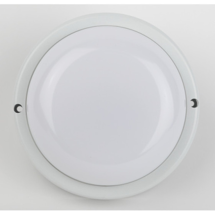 Настенно-потолочный светильник Эра SPB-201-0-65K-018 Б0054580