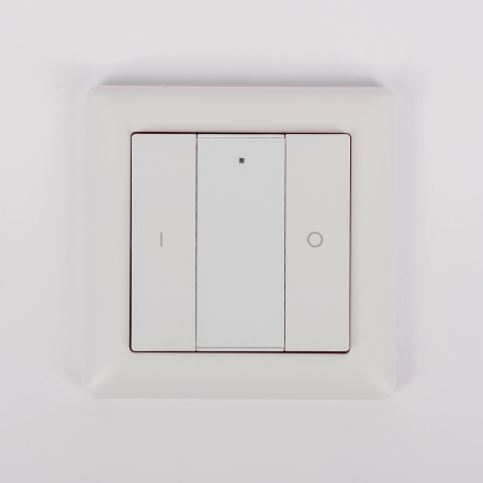 Настенная радиопанель SWG ES-B-W-K2-Z1 013295