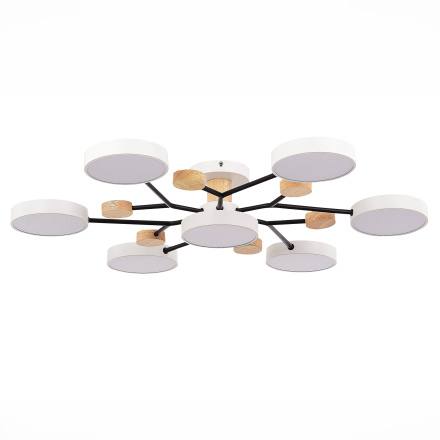 Люстра на штанге Evoluce Faema SLE6006-502-07