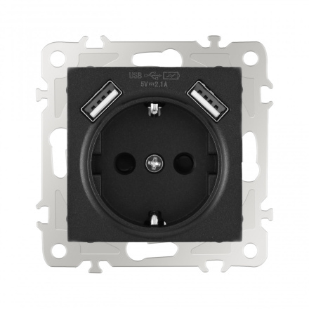 Розетка с заземлением, шторками + 2 USB Arte Milano 206.47-1.black