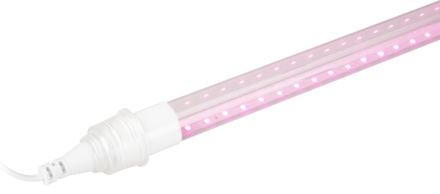 Линейный светильник для растений Эра FITO-9W-Rb-Т8+holderG13 Б0069515