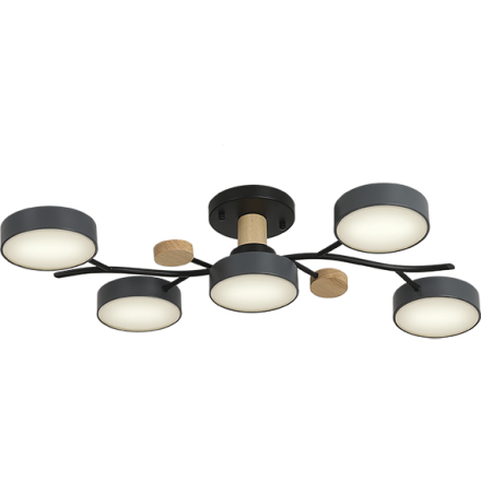 Потолочная люстра Ritter Scandia 52080 1