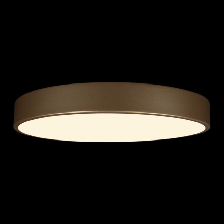 Потолочный светильник Loft IT Flims 10228/A