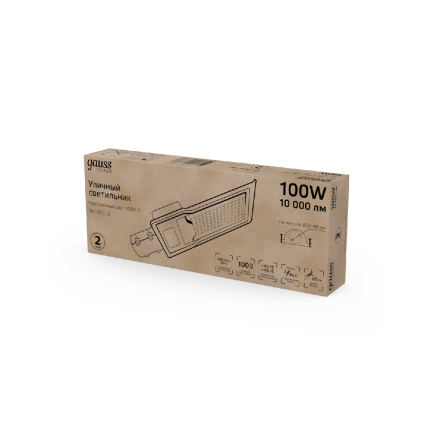 Уличный консольный светильник Gauss Avenue 629534200