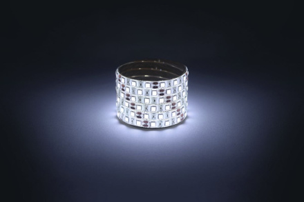 Светодиодная лента Эра 12В 5050 14,4Вт/м 6500K 5м IP65 LS5050-14,4-60-12-6500K-IP65-1 year-5m Б0059914