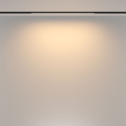 Трековый магнитный светильник Maytoni Basis TR173-1-16WTW-B