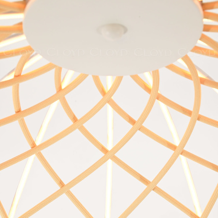 Подвесная люстра Cloyd Cocklico 11412