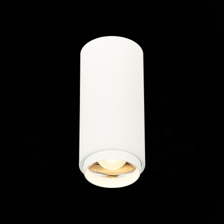 Потолочный светильник ST Luce Zoom ST600.532.10