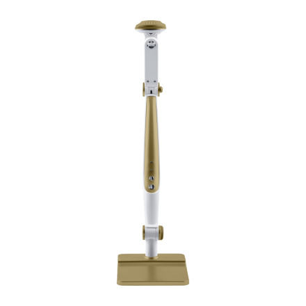 Настольная лампа Эра NLED-497-12W-G Б0052773