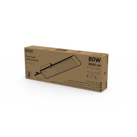 Уличный консольный светильник Gauss Avenue 629534180