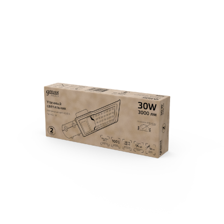 Уличный консольный светильник Gauss Avenue 629534230