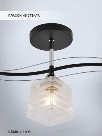 Люстра на штанге Seven Fires Aintre SF3377/3C-BK-CR-WT