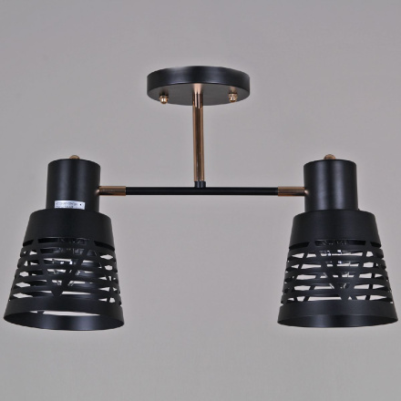 Потолочный светильник Reluce 06074-3.3-02 BK+FG