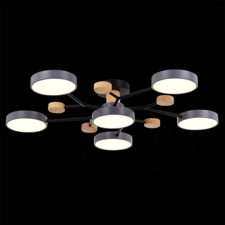 Люстра на штанге Evoluce Faema SLE6006-702-06