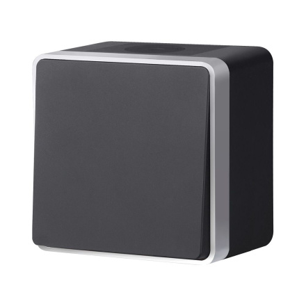 Выключатель одноклавишный влагозащищенный Werkel Gallant (черный с серебром) W5010234 4690389164033 a051164