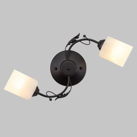 Потолочный светильник IMEX MD.0401-2-S-BK