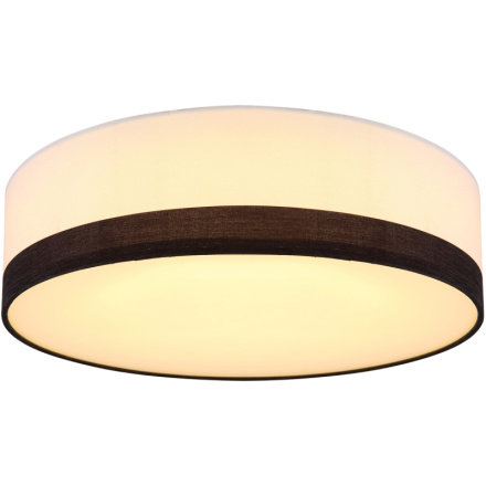 Потолочный светильник Globo Maggy 15385D1