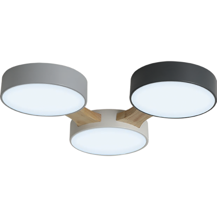 Потолочная люстра Ritter Scandia 52070 2