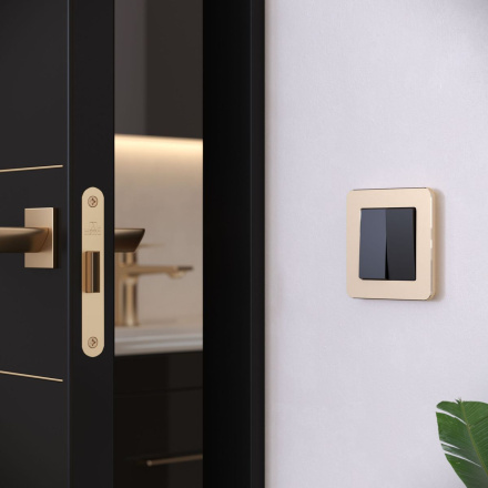 Рамка на 1 пост Werkel Platinum шампань 4690389184437 W0012611