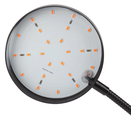 Настольная лампа Эра FITO-20W-АLED-R Б0053290