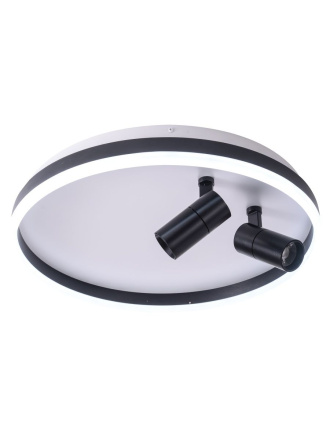 Потолочный светильник Zortes Raizy ZRS.1888.01