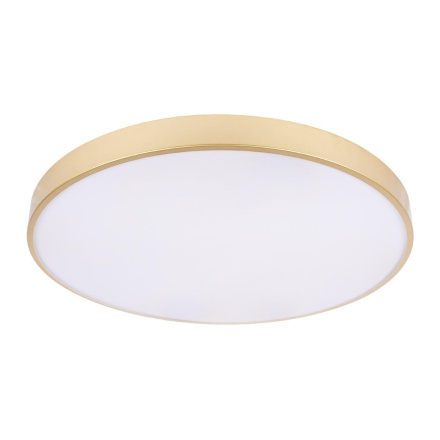 Потолочный светильник Loft IT Flims 10228/B