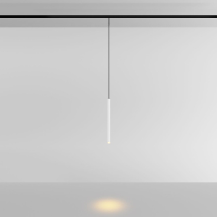 Трековый магнитный светильник Maytoni Skim TR191-1-3W2.7K-M-BW