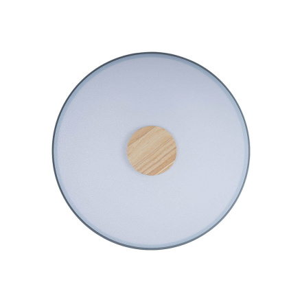 Потолочный светильник Loft IT AXEL 10003/24 Grey