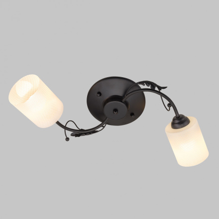 Потолочный светильник IMEX MD.0401-2-S-BK